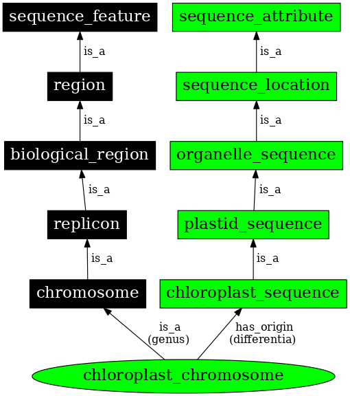 Graph image for SO:0000820