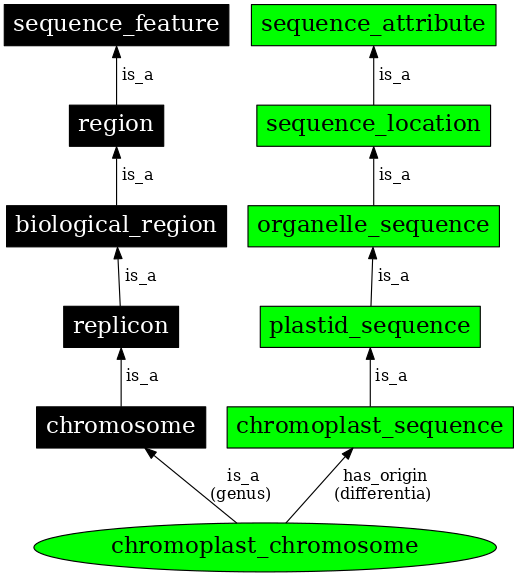 Graph image for SO:0000821