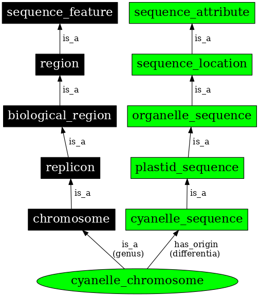 Graph image for SO:0000822