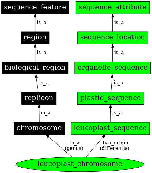 Graph image for SO:0000823