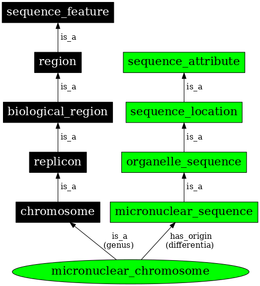 Graph image for SO:0000825