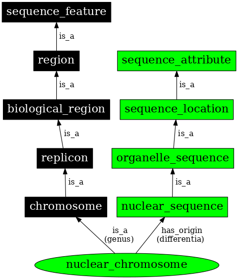 Graph image for SO:0000828