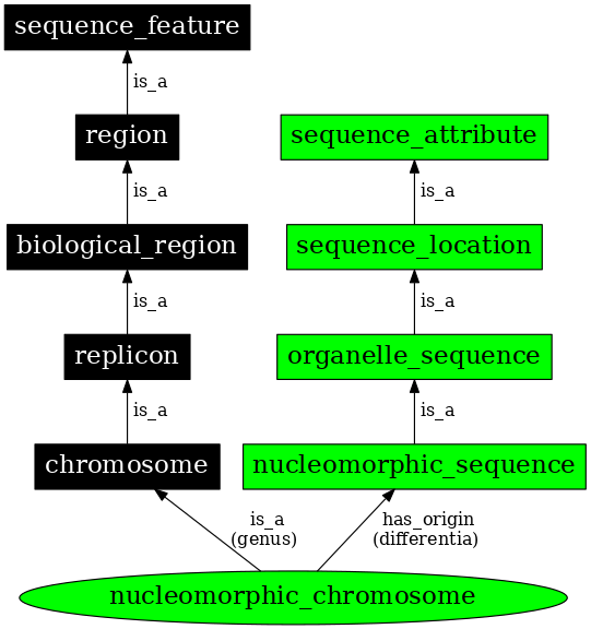 Graph image for SO:0000829