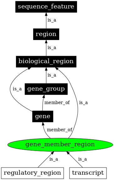 Graph image for SO:0000831