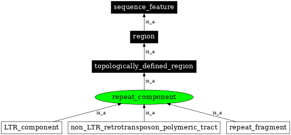 Graph image for SO:0000840