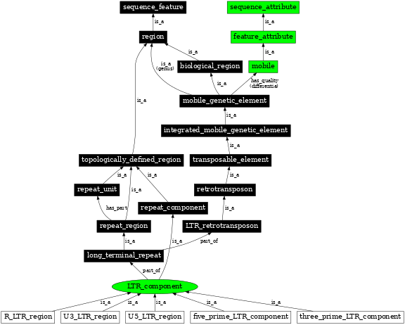 Graph image for SO:0000848