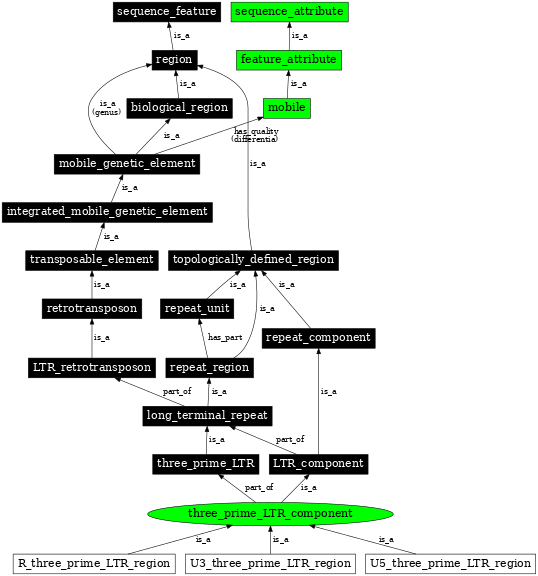 Graph image for SO:0000849