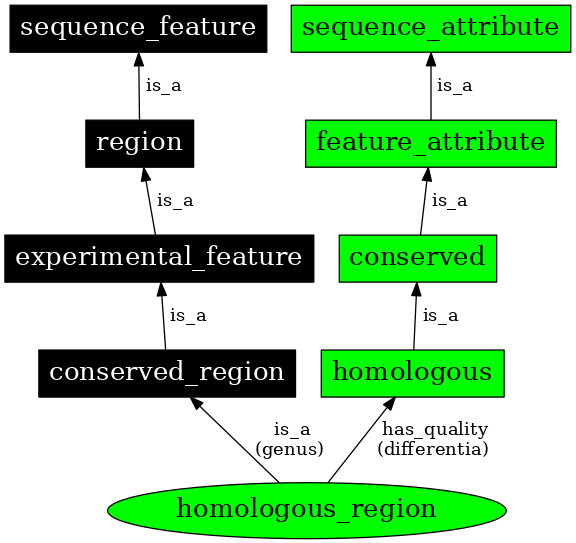 Graph image for SO:0000853