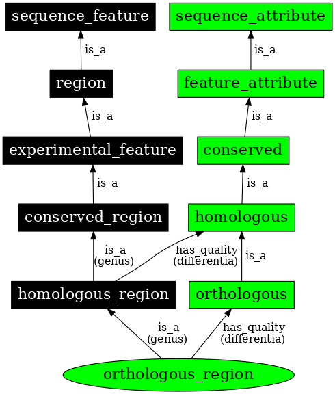 Graph image for SO:0000855