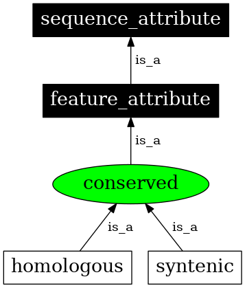 Graph image for SO:0000856