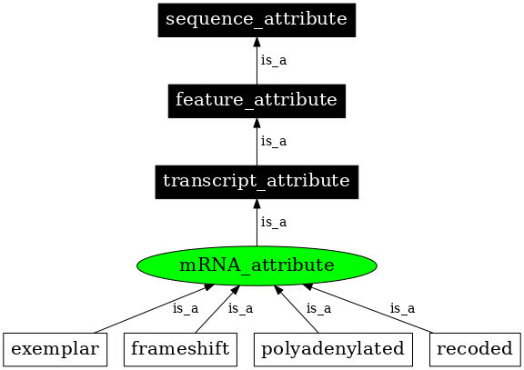 Graph image for SO:0000863