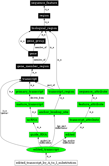 Graph image for SO:0000873