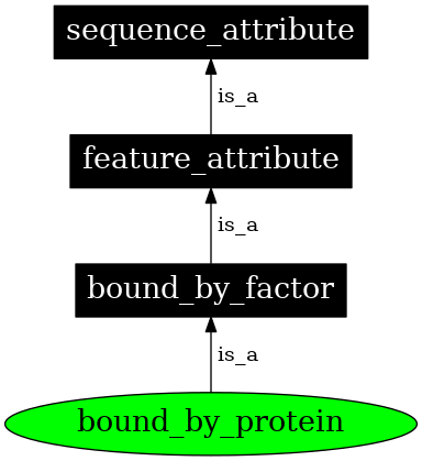 Graph image for SO:0000875