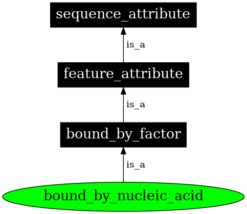 Graph image for SO:0000876