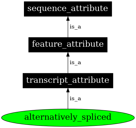 Graph image for SO:0000877