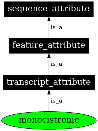 Graph image for SO:0000878