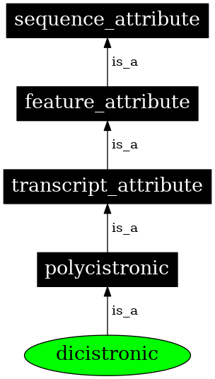 Graph image for SO:0000879