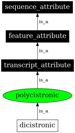 Graph image for SO:0000880