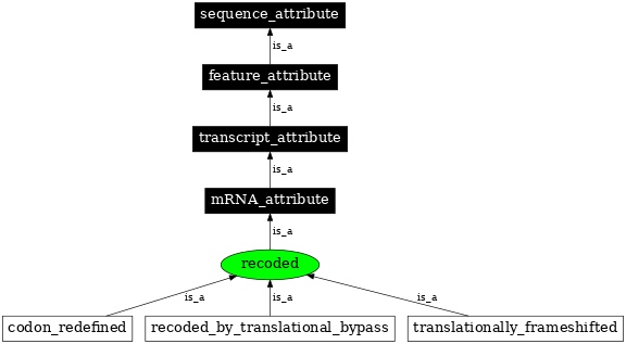 Graph image for SO:0000881