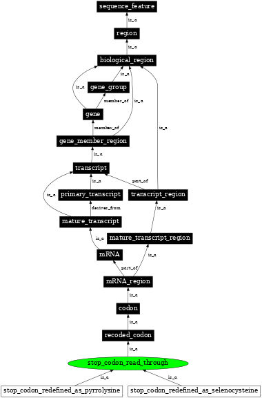 Graph image for SO:0000883