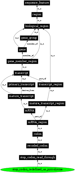 Graph image for SO:0000884