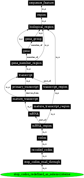 Graph image for SO:0000885