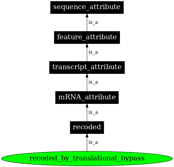 Graph image for SO:0000886