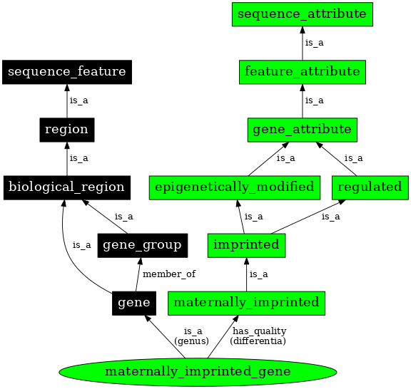 Graph image for SO:0000888