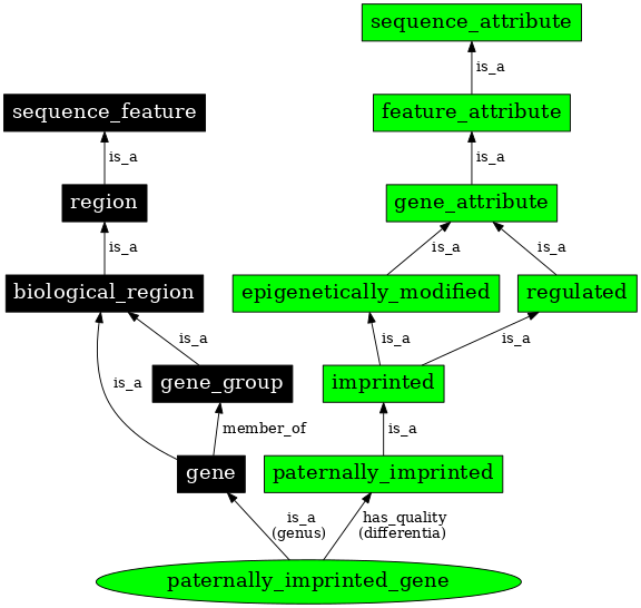 Graph image for SO:0000889