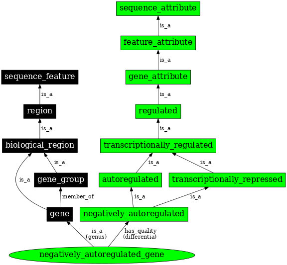 Graph image for SO:0000891