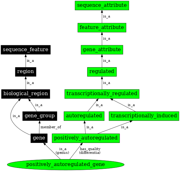 Graph image for SO:0000892