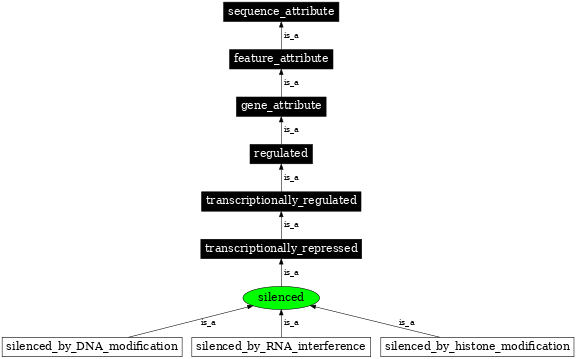 Graph image for SO:0000893