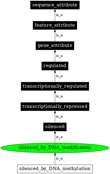 Graph image for SO:0000894