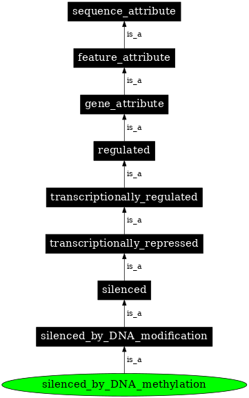 Graph image for SO:0000895