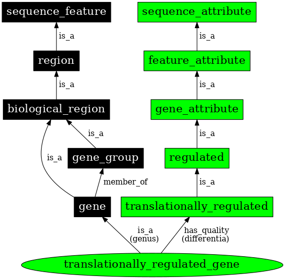 Graph image for SO:0000896