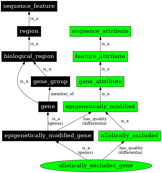 Graph image for SO:0000897