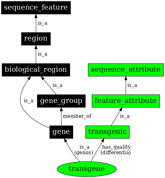 Graph image for SO:0000902