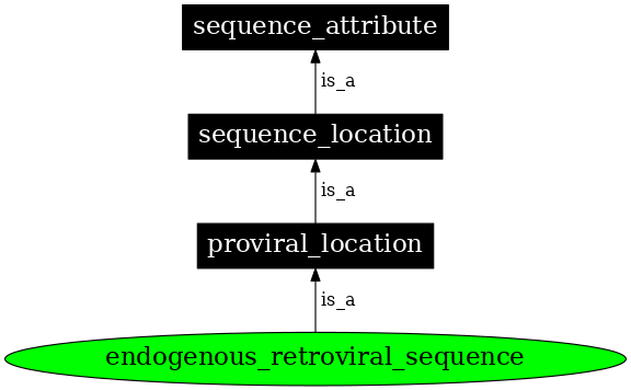 Graph image for SO:0000903