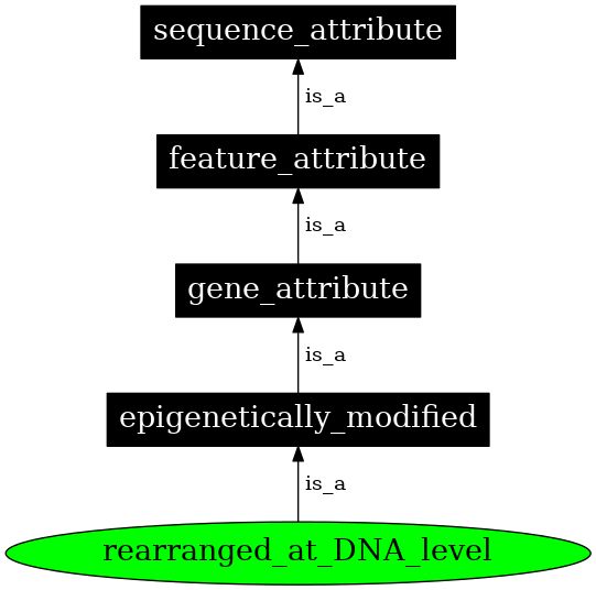 Graph image for SO:0000904