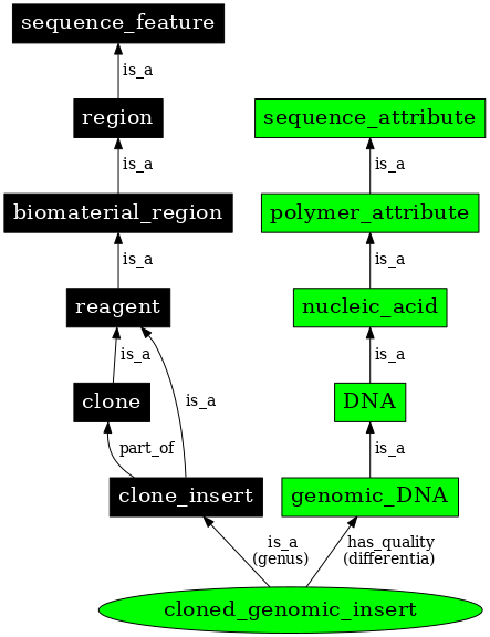 Graph image for SO:0000914