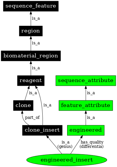 Graph image for SO:0000915