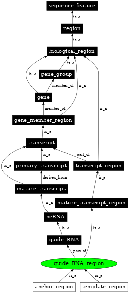 Graph image for SO:0000930