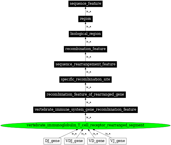 Graph image for SO:0000936