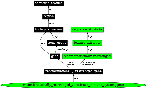 Graph image for SO:0000941