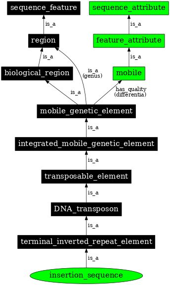 Graph image for SO:0000973