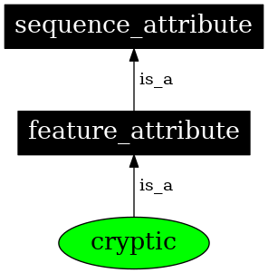 Graph image for SO:0000976