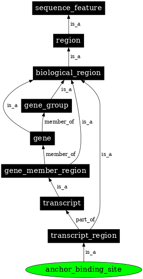 Graph image for SO:0000977