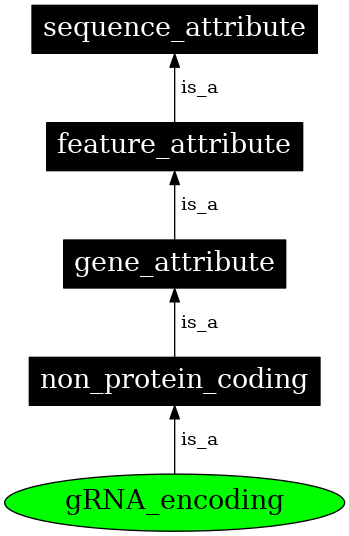 Graph image for SO:0000979