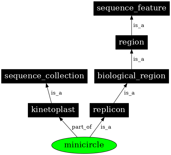 Graph image for SO:0000980