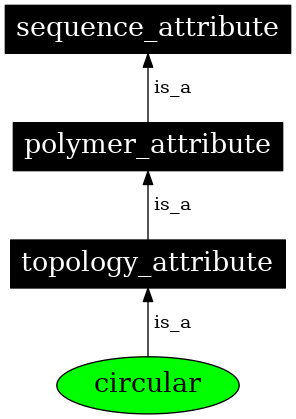 Graph image for SO:0000988